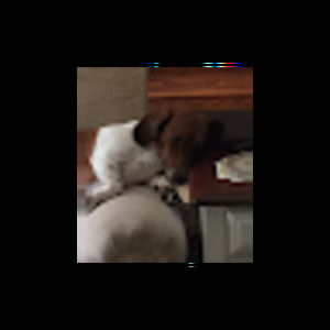 Meet your Posher, Cheryl